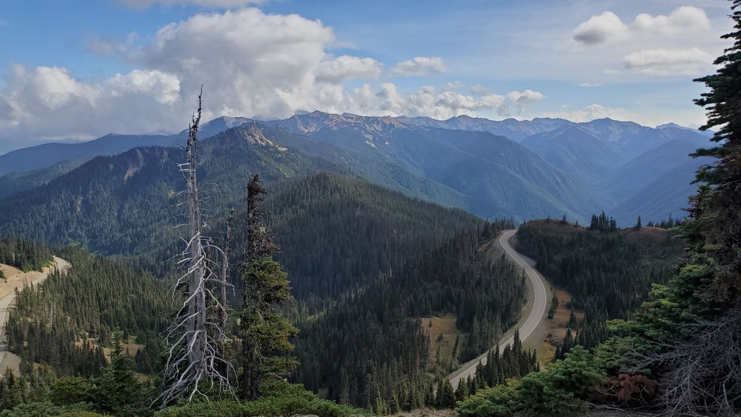 Olympic NP 